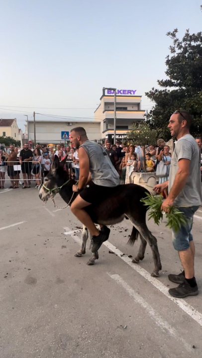 Ante Baus pobjednik trke na tovarima u Pirovcu