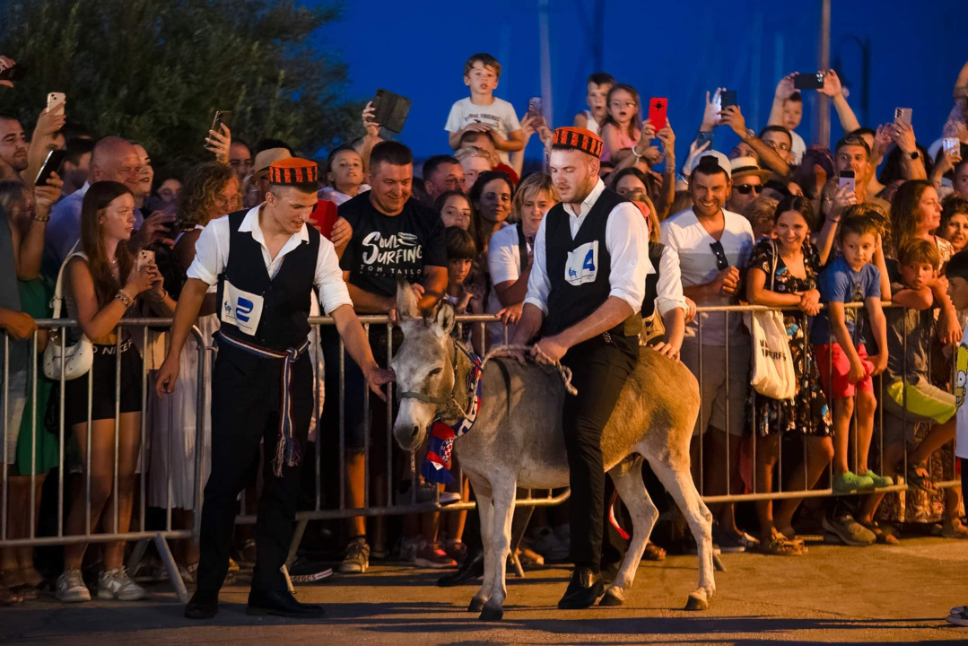 Prijatelji životinja traže ukidanje utrka tovara u Tribunju, Tisnom i drugim mjestima
