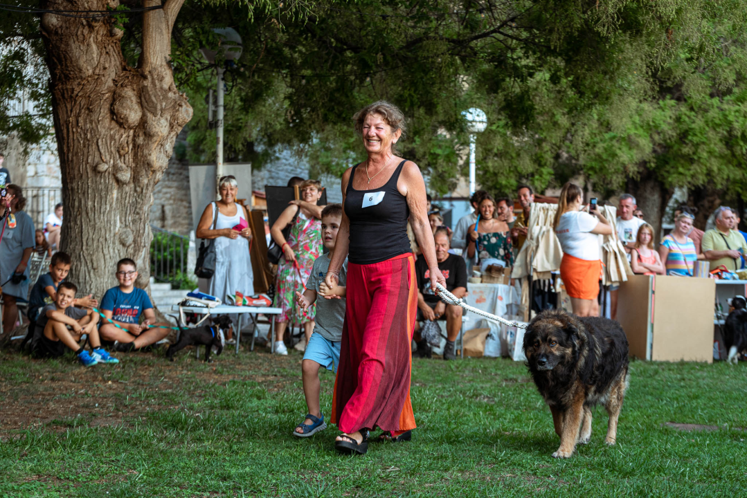 Šibenske šape rođendan proslavile izložbom pasa, tombolom i kvizom