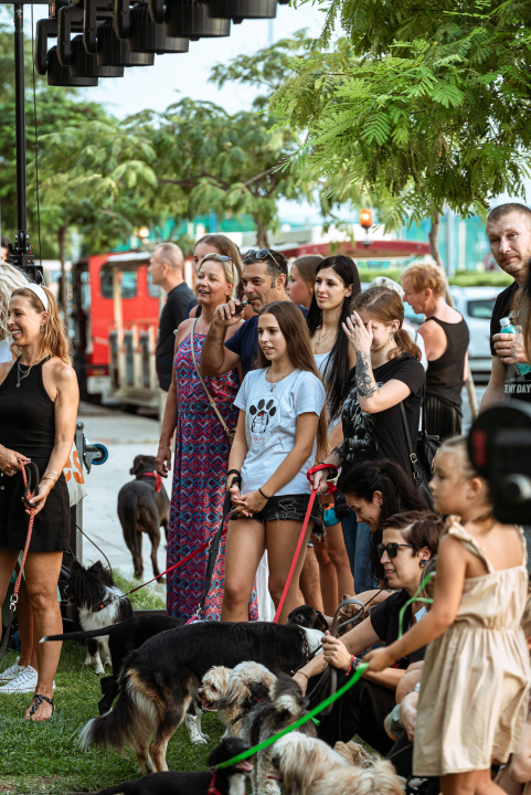 Šibenske šape rođendan proslavile izložbom pasa, tombolom i kvizom