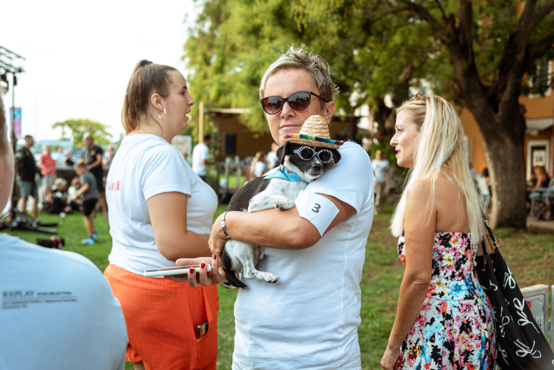 Šibenske šape rođendan proslavile izložbom pasa, tombolom i kvizom