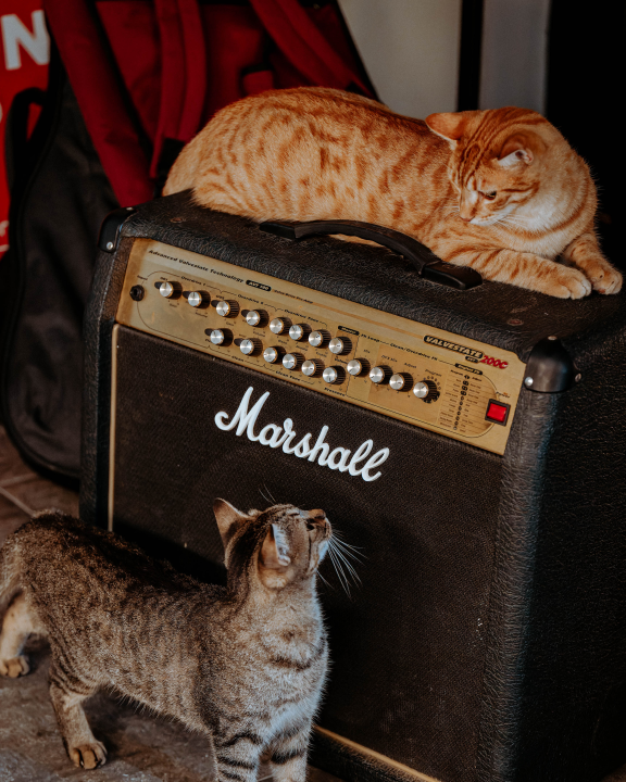 Tvrđava Barone ni u rujnu ne zanemaruje jazz publiku koju je sinoć oduševio Dot-and-go Three