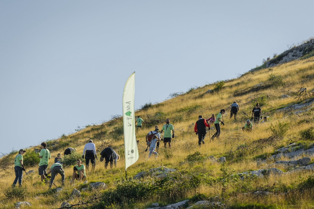 Stotine volontera pošumljavalo požarište u Grebaštici