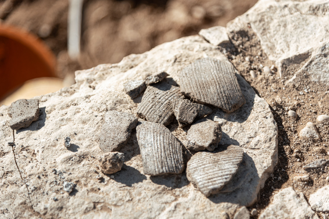 Objekt kraj Goriša, veći od zadarskog sv. Donata, arheolozima i dalje izaziva zazubice: Crkva, vila ili vojna utvrda?