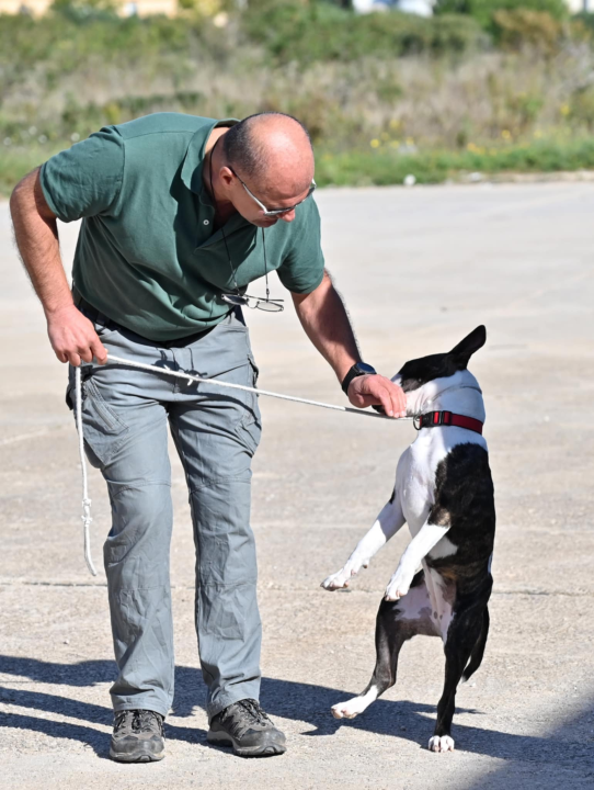 Marko Čogelja savjetuje kako dobro odgojiti psa