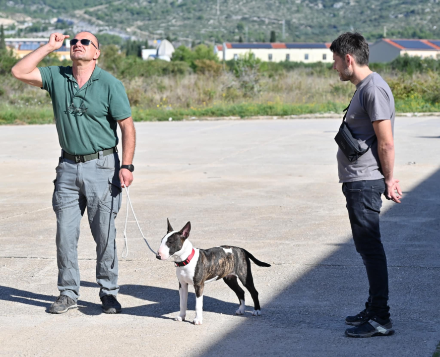 Marko Čogelja savjetuje kako dobro odgojiti psa