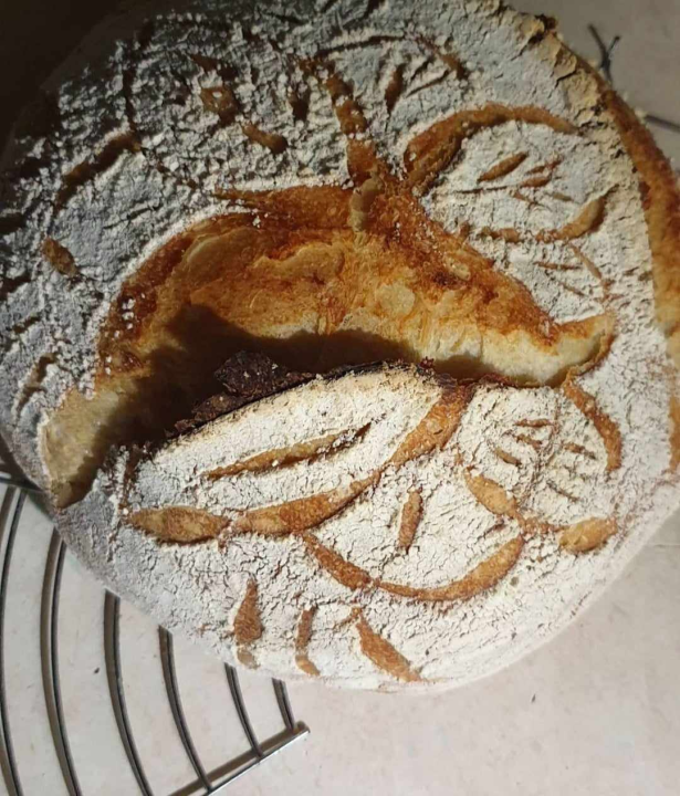 Recept za sourdough kruh Sanje Antunac od durum pšenice