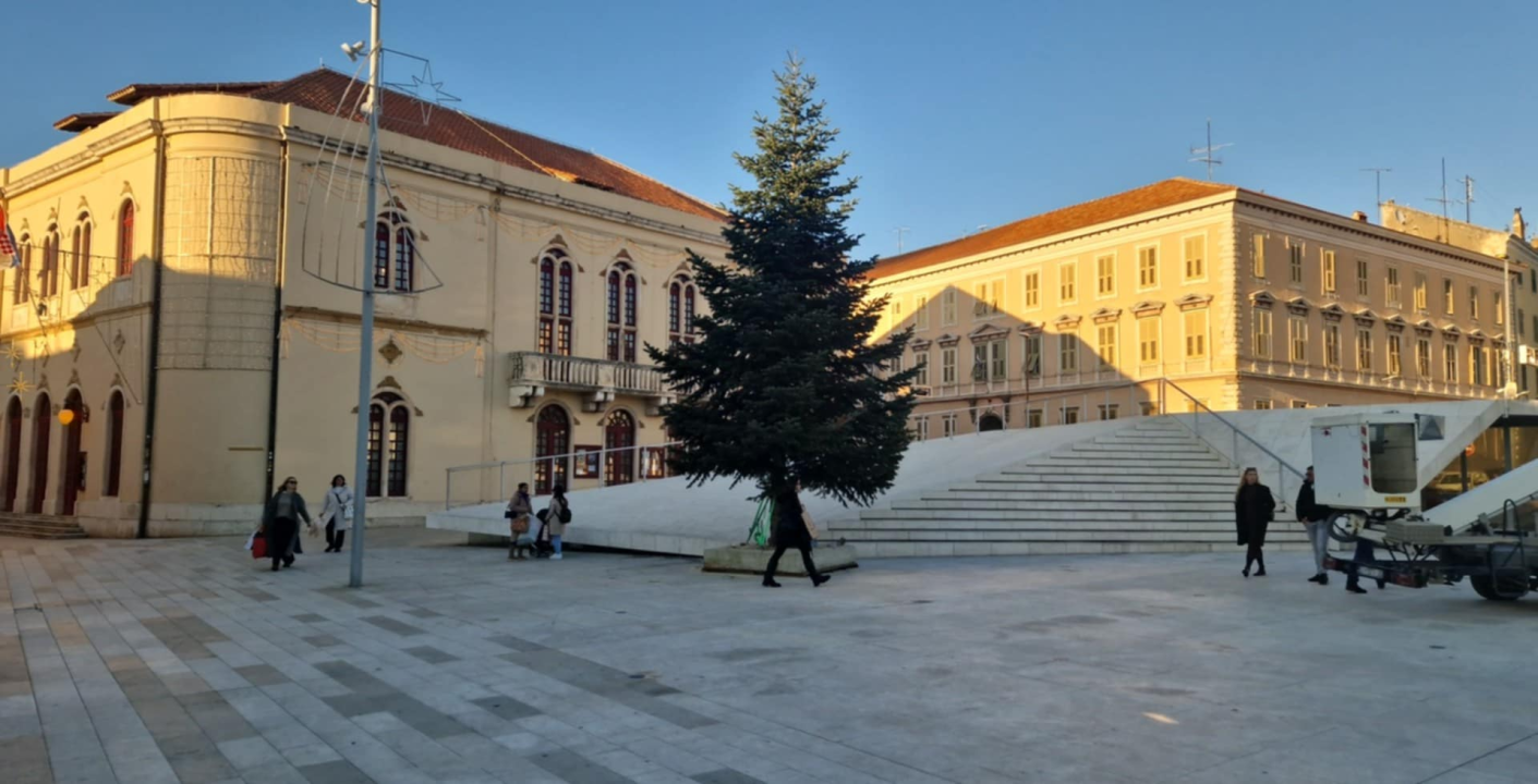 Na Poljani postavljena prva prava šibenska jelka: Kod klizališta stigla ravno sa Šubićevca