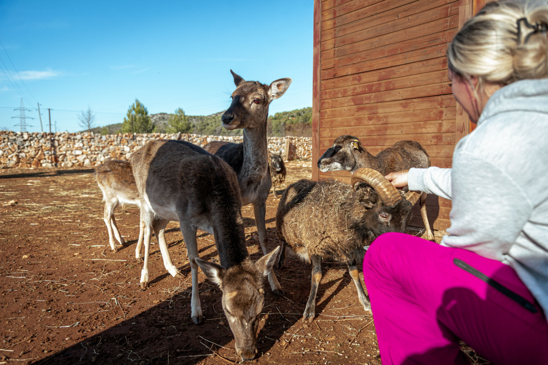 Jelena, Nina i Srećko oduševe svakoga tko posjeti Happy Horse u Dubravi