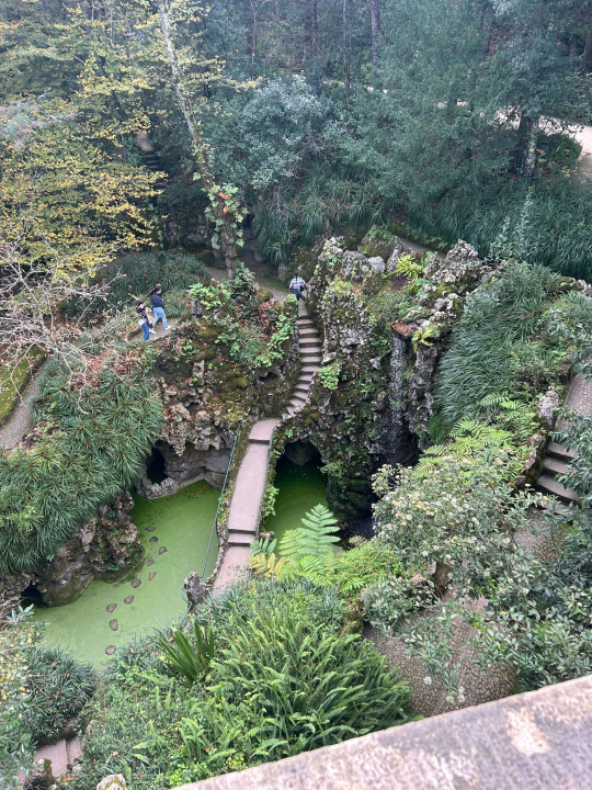 Studijsko putovanje: Šibenski budući medicinski, laboratorijski i farmaceutski tehničari  dva tjedna usvajali znanja u Portugalu