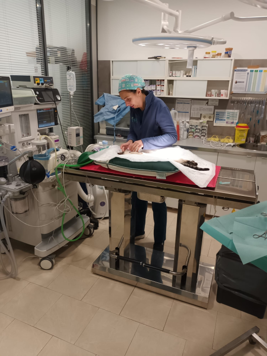 Studijsko putovanje: Šibenski budući medicinski, laboratorijski i farmaceutski tehničari  dva tjedna usvajali znanja u Portugalu