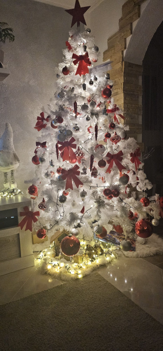 Provjerite tko su pobjednici izbora za naj jelku!