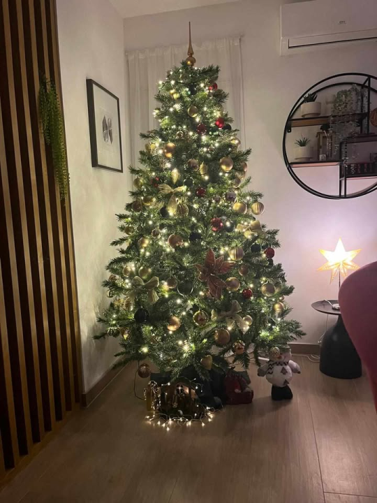 Provjerite tko su pobjednici izbora za naj jelku!