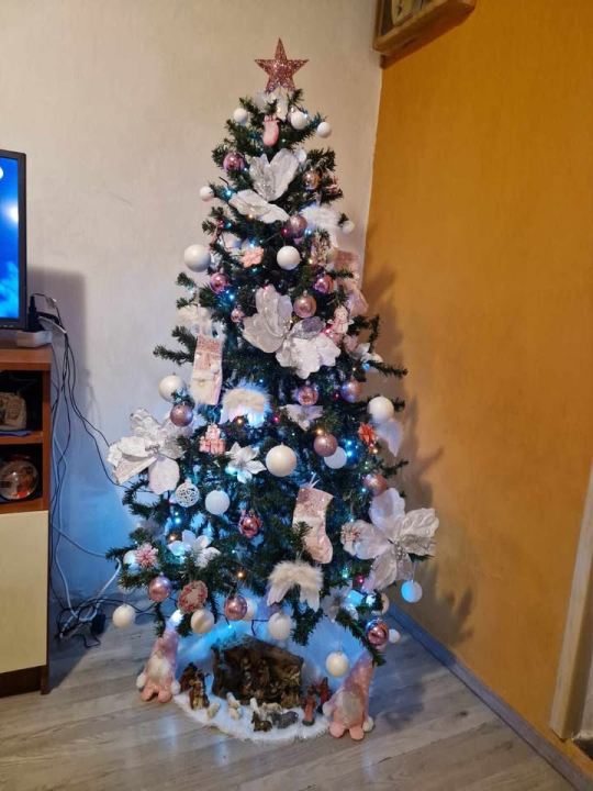 Provjerite tko su pobjednici izbora za naj jelku!