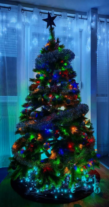 Provjerite tko su pobjednici izbora za naj jelku!