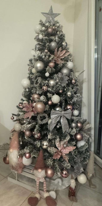 Provjerite tko su pobjednici izbora za naj jelku!