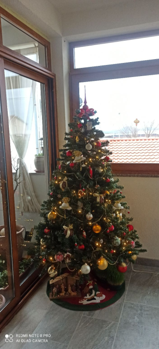 Provjerite tko su pobjednici izbora za naj jelku!