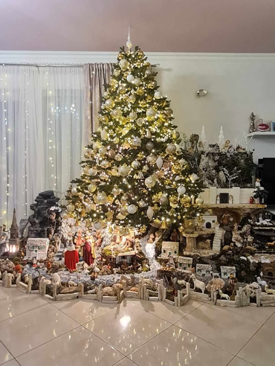 Provjerite tko su pobjednici izbora za naj jelku!