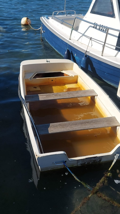 Napuštene brodice i krivolov ugrožavaju zaštićeni Morinjski zaljev
