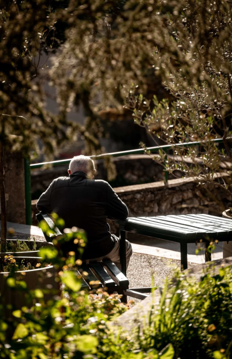 Šibenski Vidici: Kvart s dušom i pogledom na grad