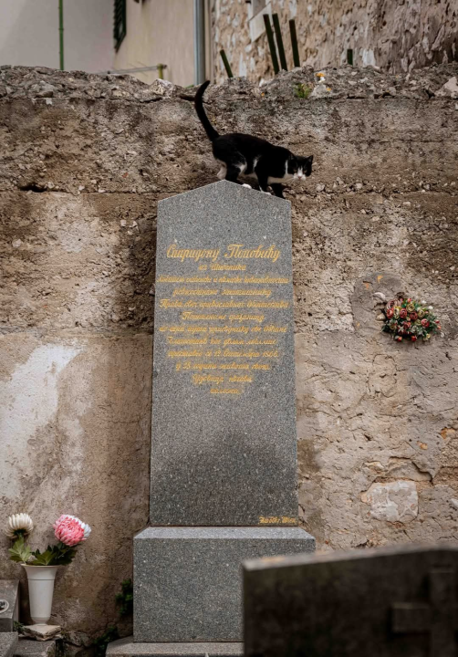 Šibenska Varoš - dio grada u kojem su odrasli najveći glazbeni velikani