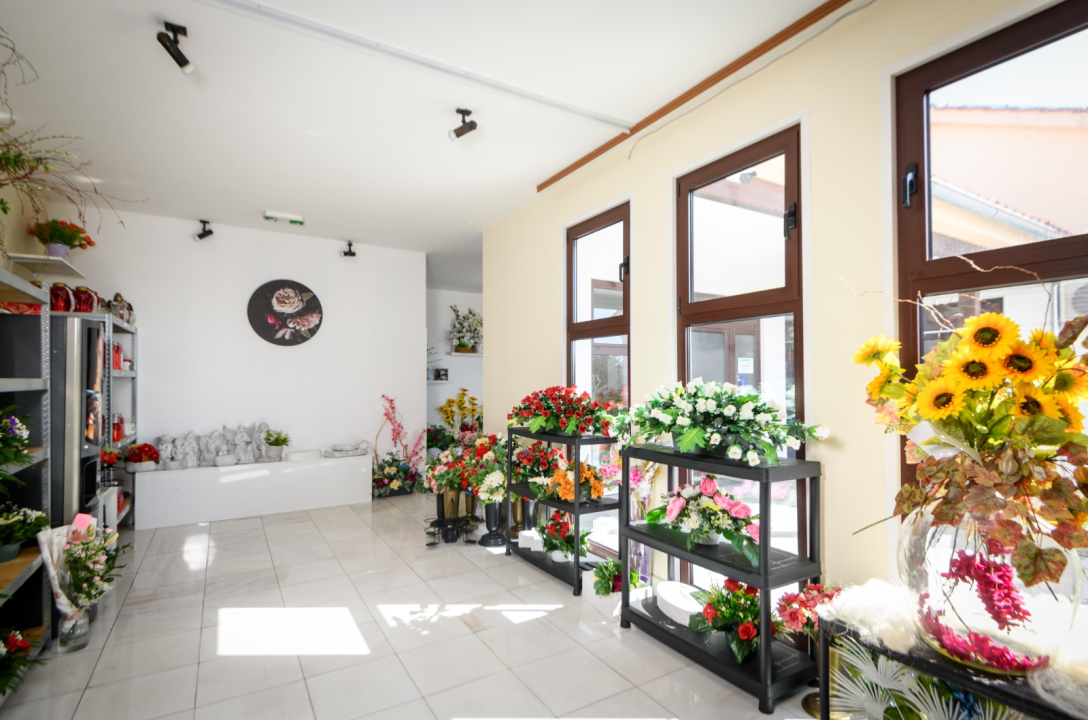 FOTO Safirni jubilej: Čempresi obilježavaju 65 godina postojanja