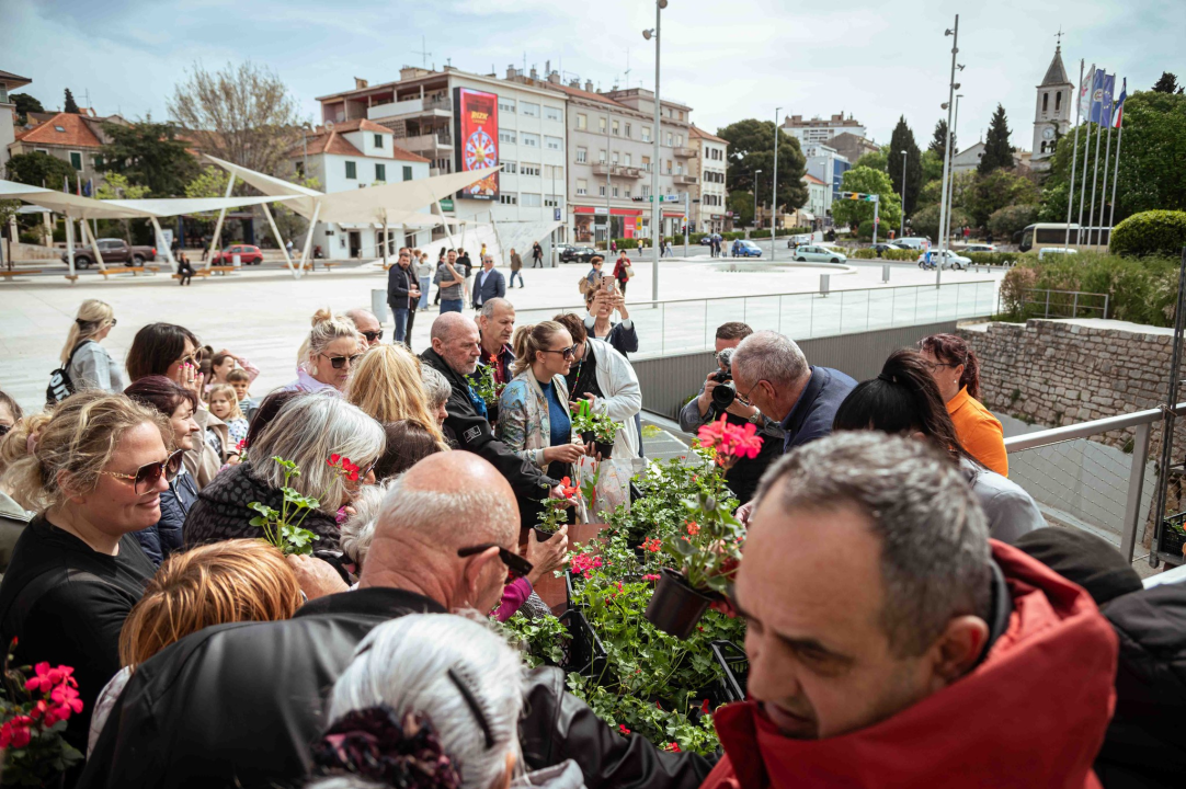 Održana tradicionalna akcija podjele sadnica u Šibeniku