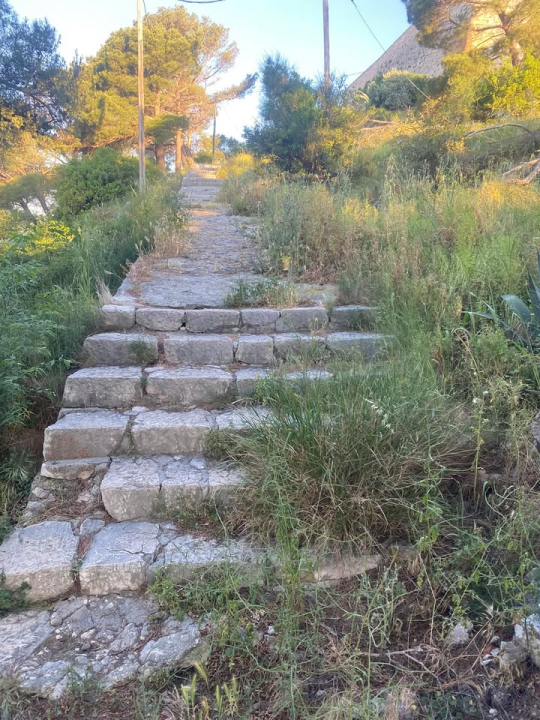 'Zeleni grad' u pogonu: Nakon Vidika, stižu pritužbe i na zapuštenost oko Baronea i Šubićevog šetališta