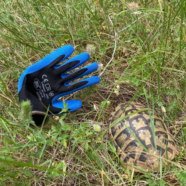 Održana akcija čišćenja obale u Kanalu sv. Ante: Uklonjena značajna količina otpada
