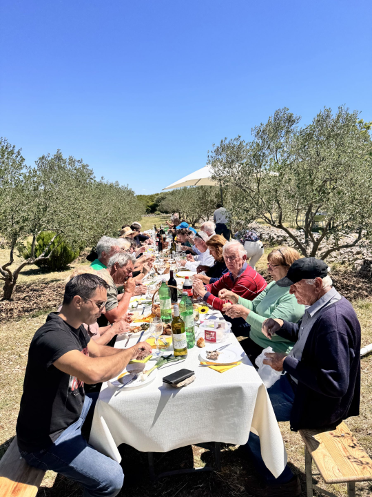 Pirovačka Udruga 'Uljanica' proslavila vrijedna međunarodna priznanja