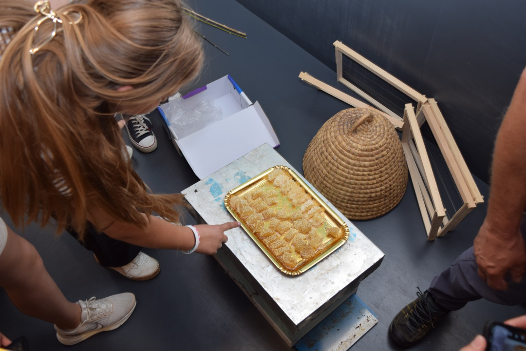 Mladi čuvari prirode u misiji zaštite prirode u NP Krka