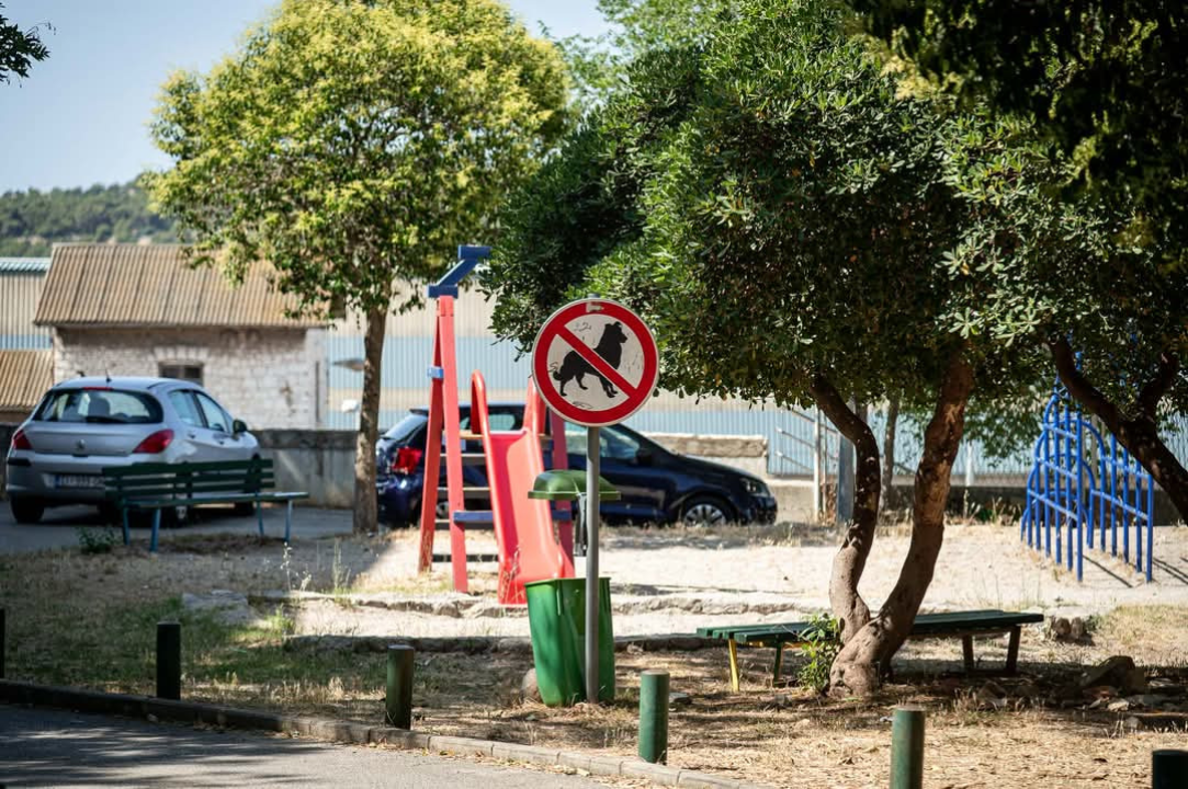 Baldekin 1 – Srce urbanog Šibenika