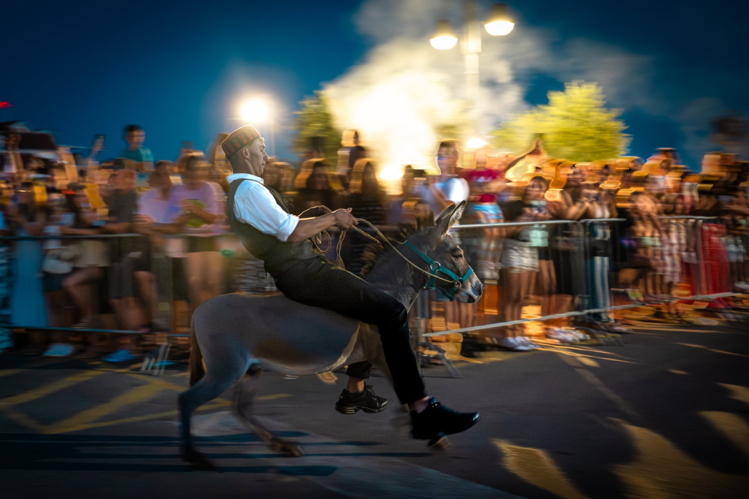 Održane 58. magareće trke u Tribunju