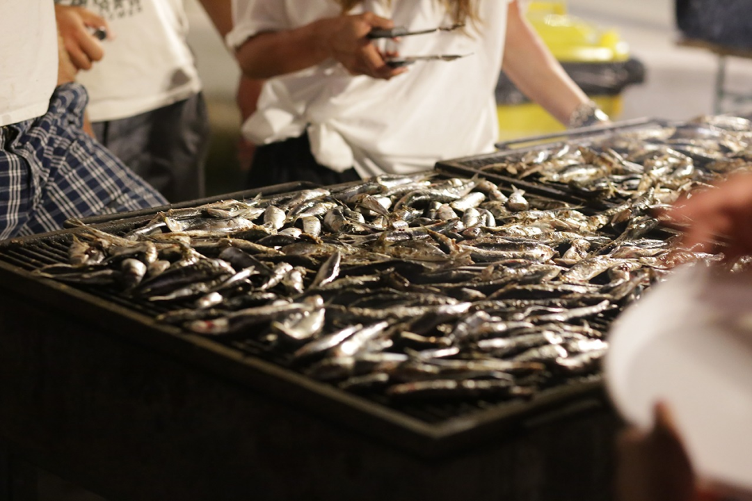 FOTO Jezera spremna za spektakl: Ne propustite Ribarsku feštu uz Crvenu jabuku i dalmatinske okuse!