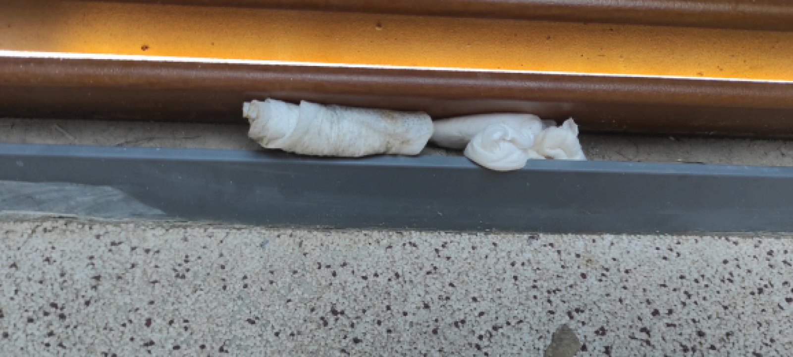 FOTO Fekalije po zidu, zaštopani zahodi, tamponi u okvirima, razbacano smeće – s tim se na Rezalištu svakodnevno bore djelatnici Zelenog grada