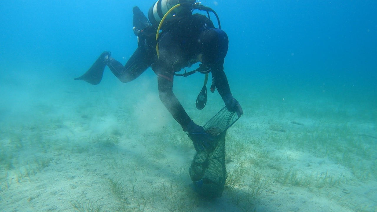 Ronilački klub 'Murter-Kornati' u akciji čišćenja podmorja oko 13 otočića u općini