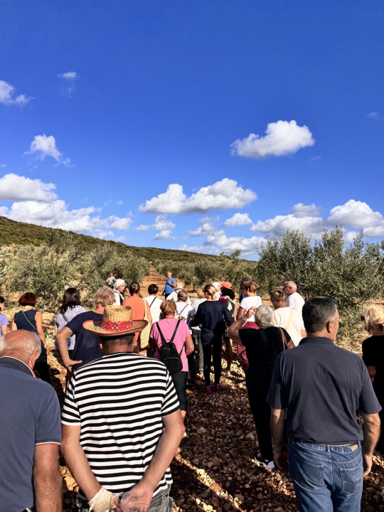 'Piknikom u masliniku' službeno završilo 'Lito u Pirovcu'