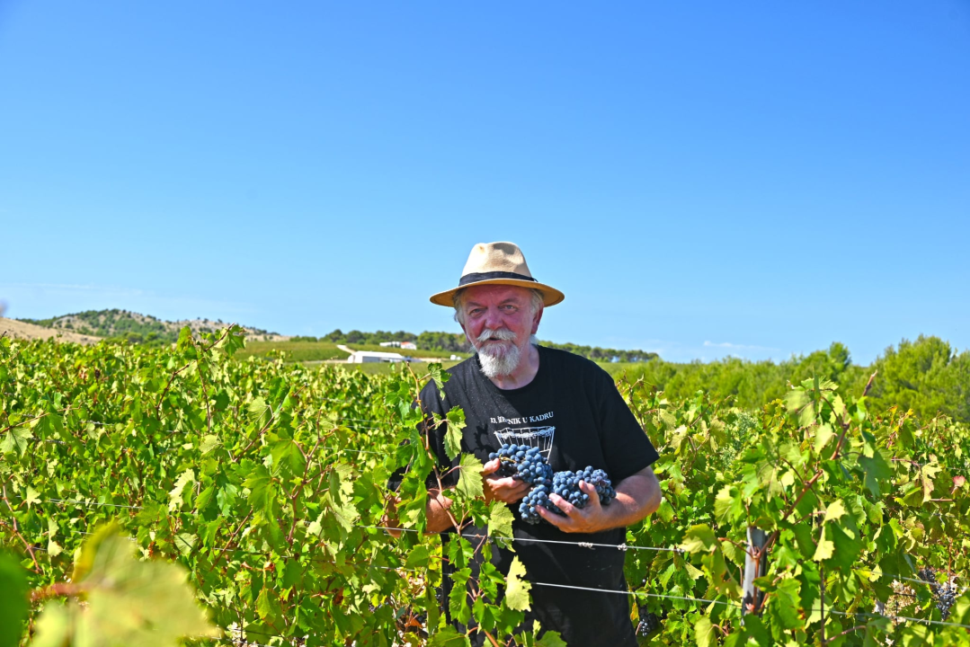 Priča o ćukteru:  Jeste li znali da su šibenski težaci od ciđe radili slatku deliciju?