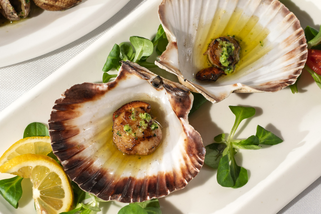 FOTO Petkom se u Konobi Oli uživa u dalmatinskoj spizi, pjesmi i odličnoj atmosferi!