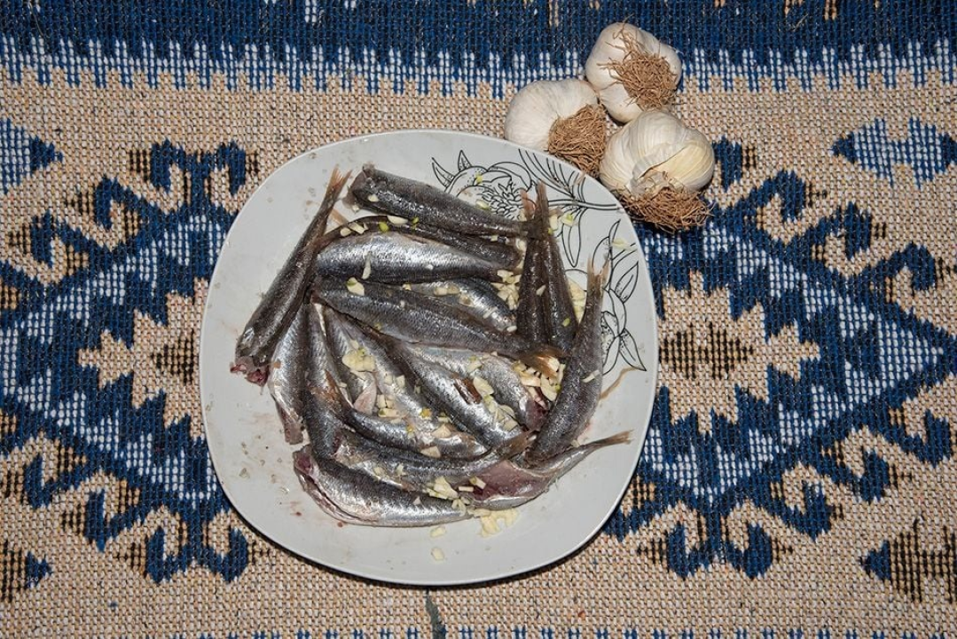 Kapi masline i gušti života: Gurmanske priče s Murtera i Kurnata