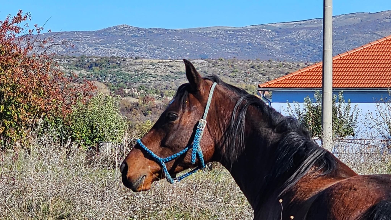 Drniško zaleđe u jesenskim bojama