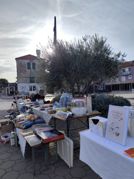 Pirovački buvljak za sterilizaciju i kastraciju mačaka