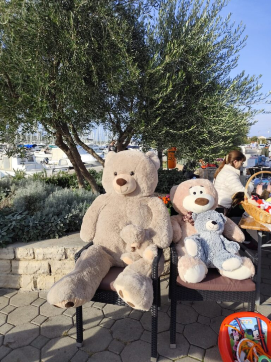 Održan humanitarni buvljak za pirovačke mačke: Sav prihod ide za njihovu kastraciju i sterilizaciju