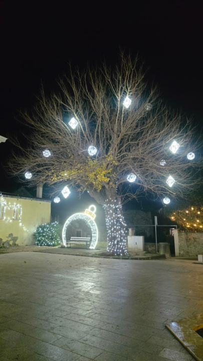 FOTO Advent u Skradinu: Blagdanska radost koju ne smijete propustiti! 