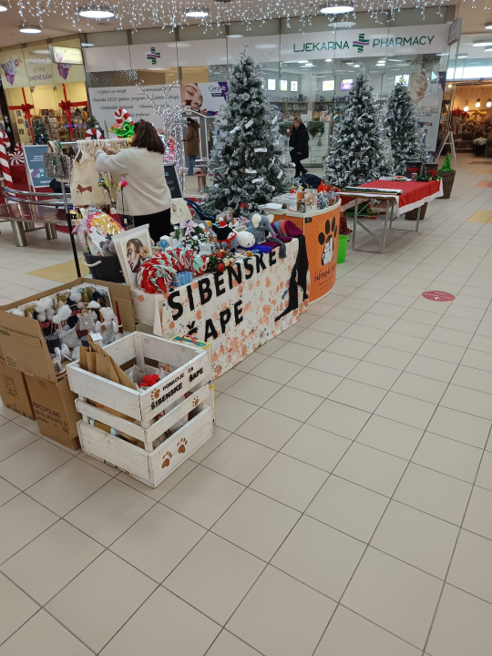 Šibenske šape započele su još jednu donacijsku akciju u Dalmareu. 