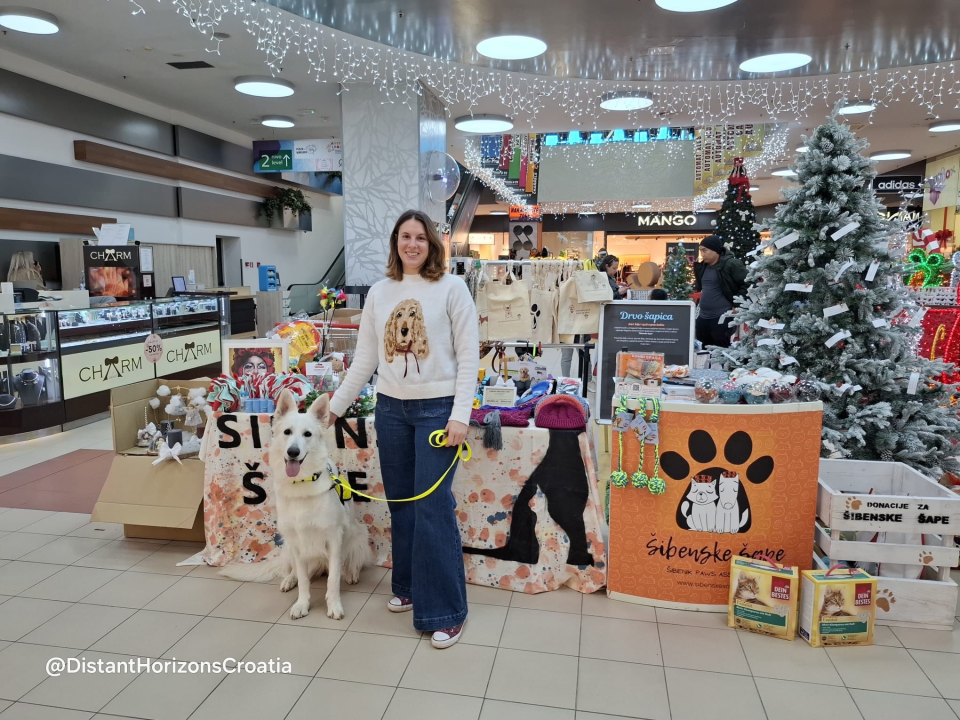 Šibenske šape započele su još jednu donacijsku akciju u Dalmareu. 