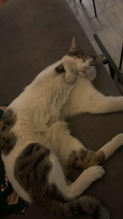 Pero je glavna zvijezda PUB-a 022