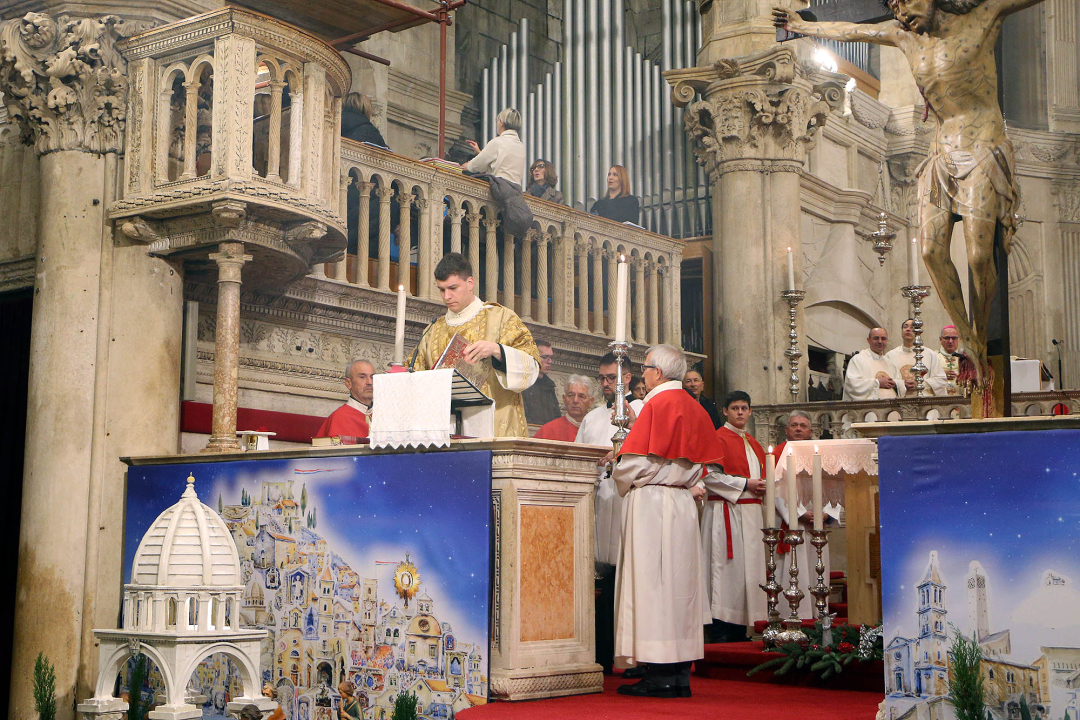 Polnoćka u katedrali