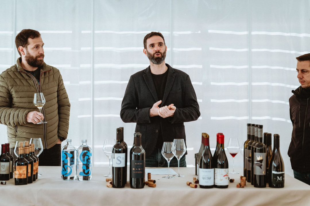 Vina, okusi i tradicija: Manifestacija Vino Dalmacije okupila dalmatinske vinare u Šibeniku