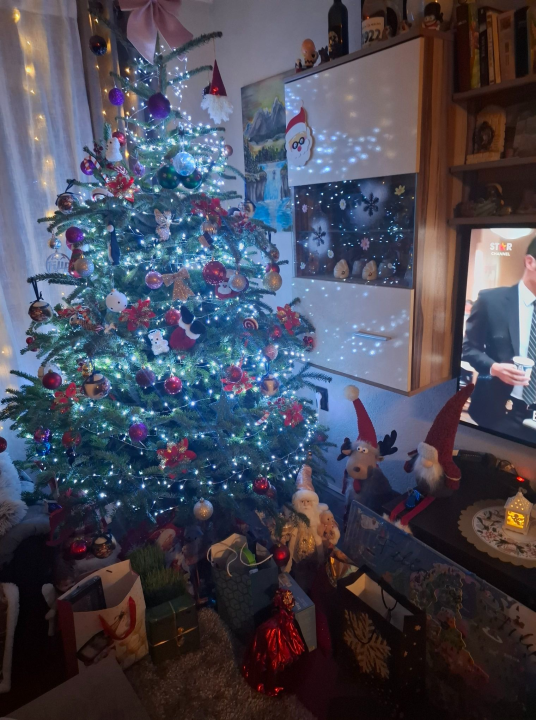 Odluka je pala: Donosimo vam pobjednike izbora najljepše božićne jelke ŠibenikIN-a